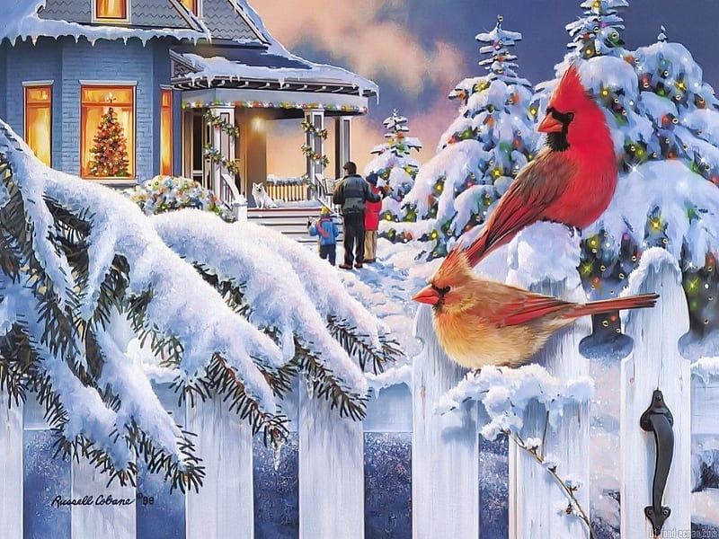It's Christmas, pretty, house, cabin, clouds, lights, cardinals, nice, calm, village, lovely, holiday, christmas, visit, decoration, birds, new year, sky, joy, mood, winter, noel, serenity, snow, deep, gifts, fence, colorful, cottage, bonito, cold, santa claus, people, painting, frost, fun, tree, holy, peaceful, day, frozen, HD wallpaper
