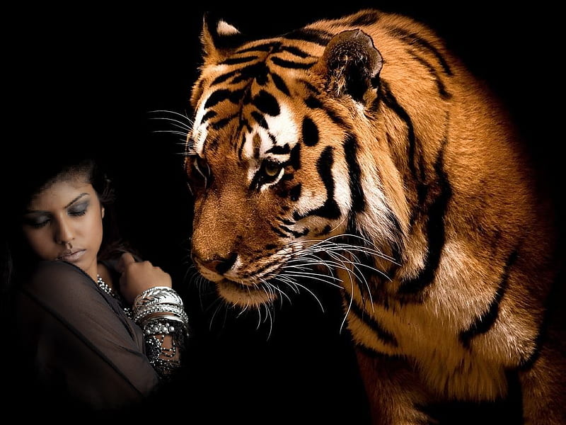 Gentle Tiger, bonito, tiger, woman, HD wallpaper