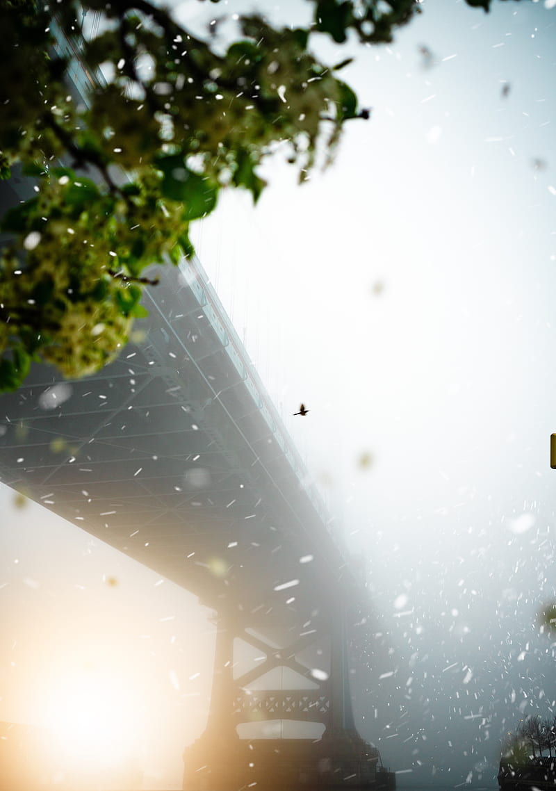 bridge, blizzard, fog, bird, HD phone wallpaper