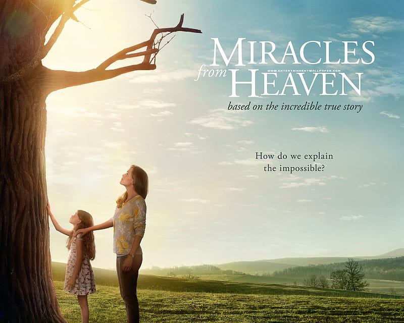 2016 Miracles From Heaven, movies, 2016-movies, HD wallpaper