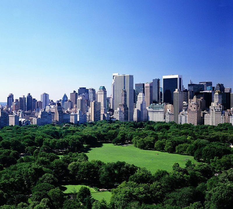 New York Summer, central park, manhattan, new york, nyc, summer, HD wallpaper