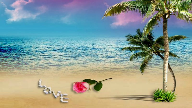 ~*~ Sand Love ~*~, pink rose, love shells, sand, rose, beaches, sand love, HD wallpaper