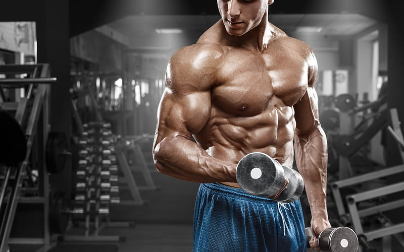 bodybuilding, exercise, dumbbell, abs, biceps, muscles, gym, HD wallpaper