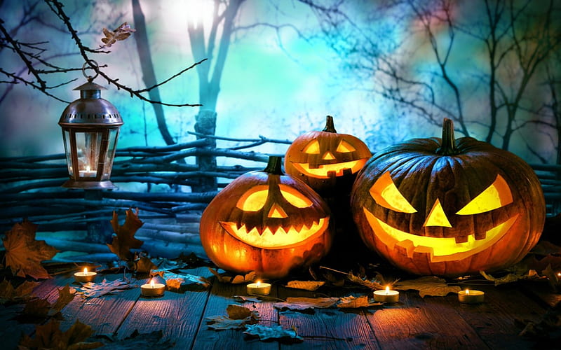 Halloween Pumpkins, Lanter, Pumpkins, Trees, Candles, Halloween, Leaves ...