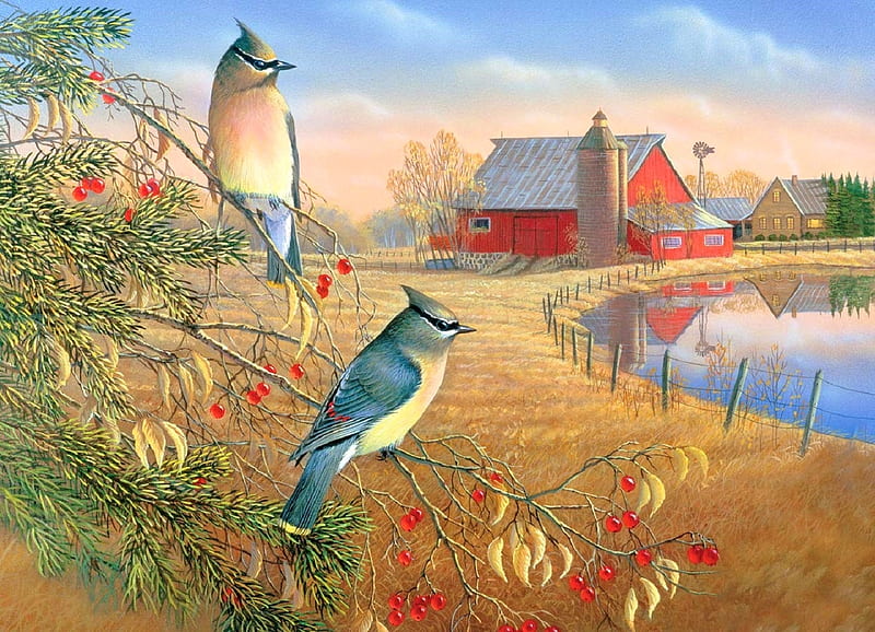 Cobble Hill Cedar Waxwings, villages, lakes, colors, birds, love four seasons, farms, attractions in dreams, paintings, summer, nature, fields, HD wallpaper