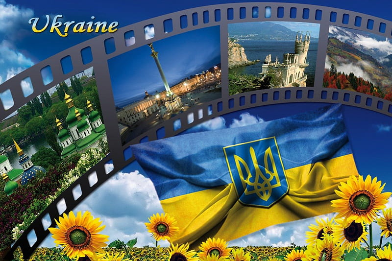 Ukraine, city, yellow, sunflower, country, flag, blue, HD wallpaper