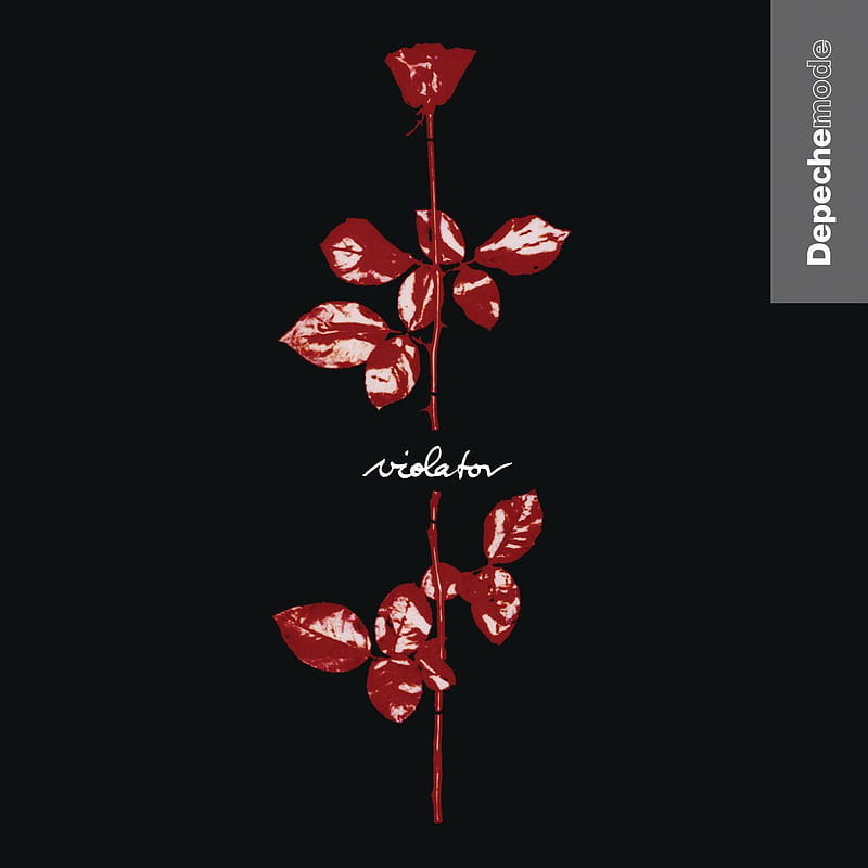 Violator album, depeche, depeche mode, flower, flowr, minimalist, mode, music, HD phone wallpaper