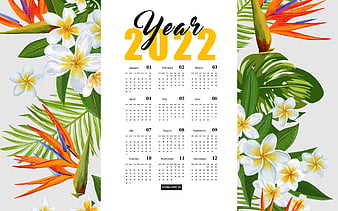 tvb 2022 calendar wallpaper