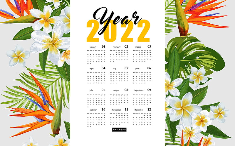 2022 Calendar, colorful background, 2022 all months calendar, 2022  concepts, HD wallpaper | Peakpx