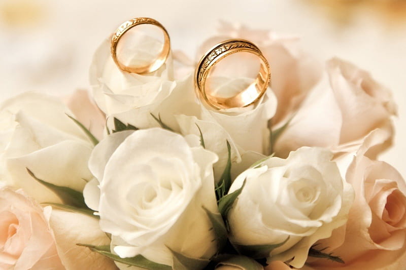 roses with wedding rings, marraige, weding, flowers, nature, roses, ring, white, HD wallpaper