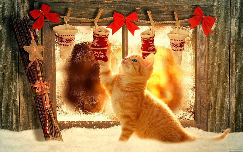 Christmas Kitty, bulbs, christmas tree, cat, glitter, HD wallpaper