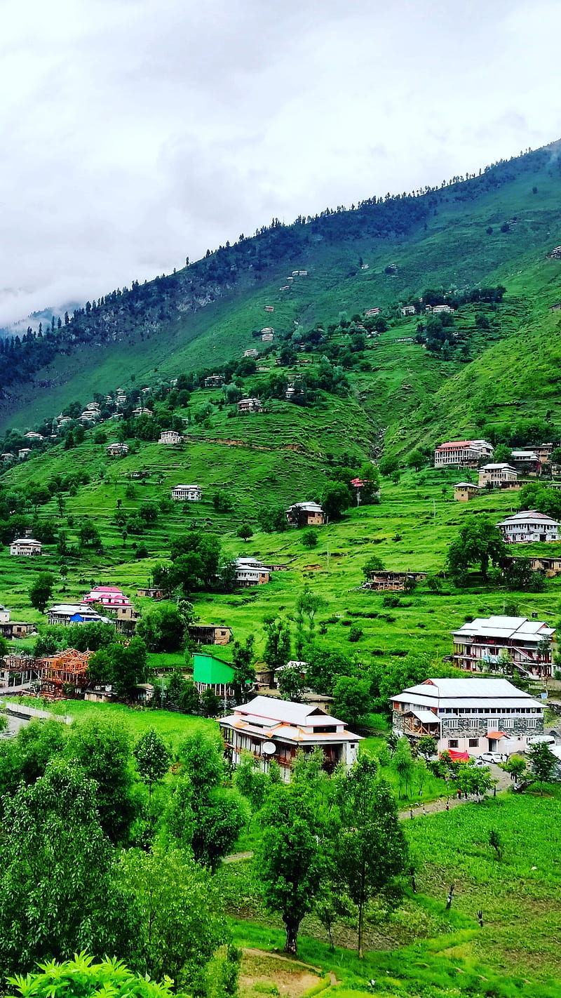 Green Kashmir, gmhamad1, greenery, greenland, huts, iphone, life in mountains, mountains, pakistan, samsung, HD phone wallpaper