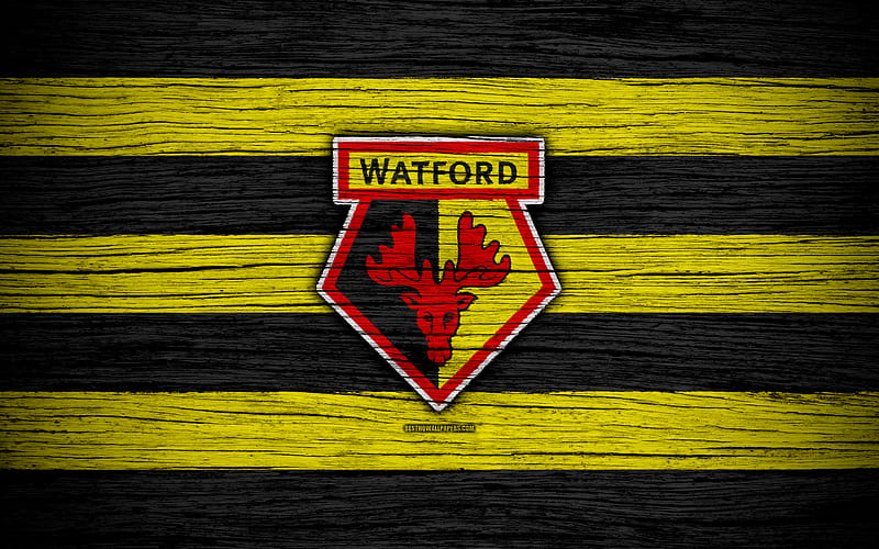 Watford Premier League, logo, England, wooden texture, FC Watford, soccer, football, Watford FC, HD wallpaper