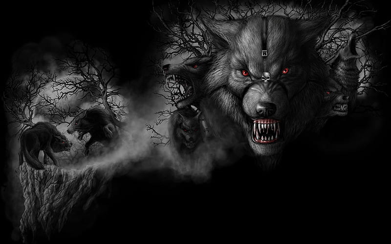 Dark Wolf, art cg, hottot, eye, black, digital art, adventure, fantasy, andrew dobell, dark, wolf, HD wallpaper