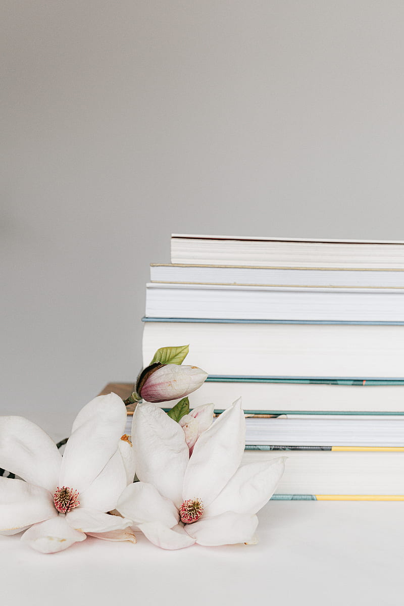 Composition with twig of white bloomy delicate Magnolia flower and stack of books placed on white desk against white background, HD phone wallpaper
