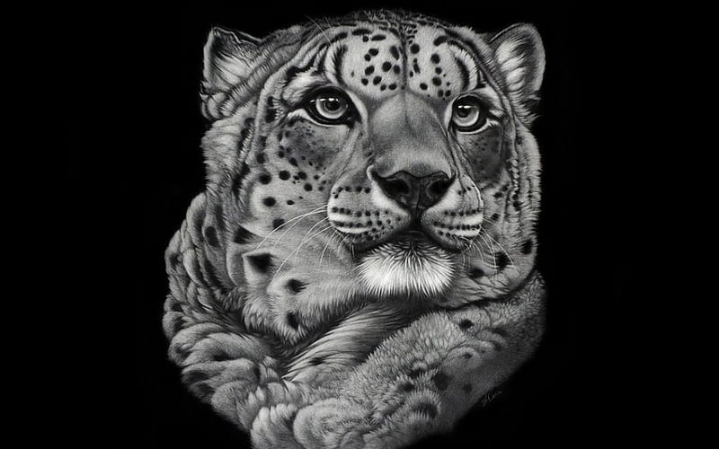 leopard art, leopard, cunning, special, black and white, bonito, camouflage, eys, predator, graphy, big, jungle, hop, portrait, camaflauge, HD wallpaper