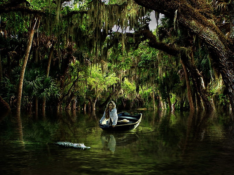EVERGLADES, forest, female, water, gator, canoe, trees, HD wallpaper