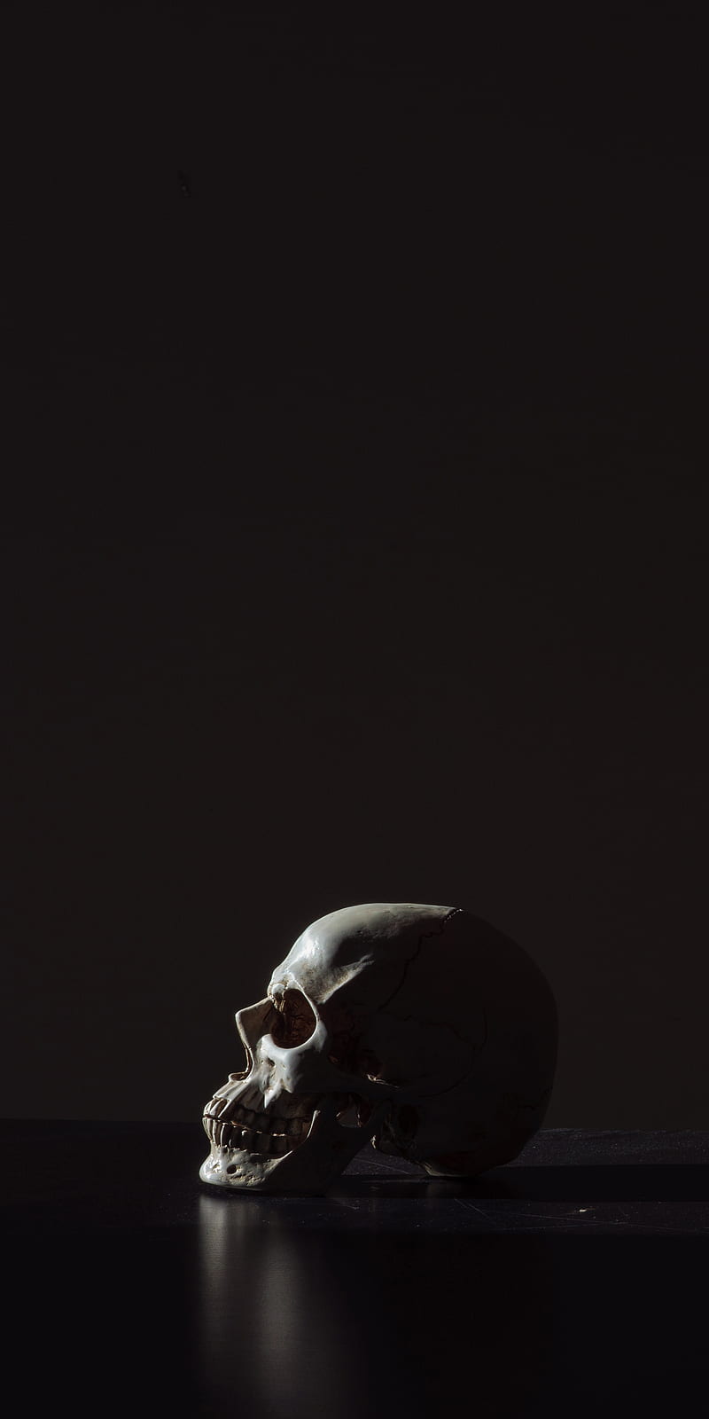 Skull, anatomy, black, bone, dark, HD phone wallpaper