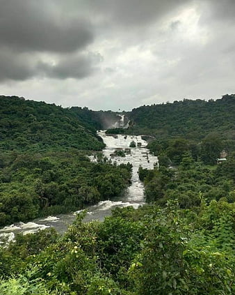 Image of Dam in Tirunelveli-RL417014-Picxy