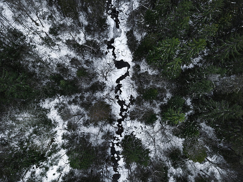 river, forest, aerial view, snow, winter, HD wallpaper
