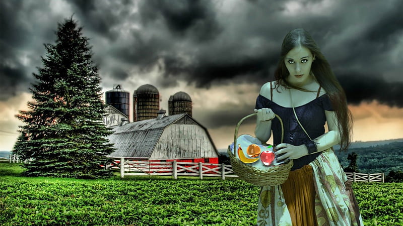 The Farm Girl, wahab hameed, clouds, farm, fruit, glass, girl, farm house, smart aleck, farm girl, basket, meadow, HD wallpaper