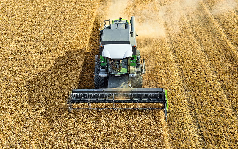Fendt 5225 E wheat harvesting, 2020 combines, EU-spec, combine, sunset, combine-harvester, agricultural machinery, Fendt, HD wallpaper
