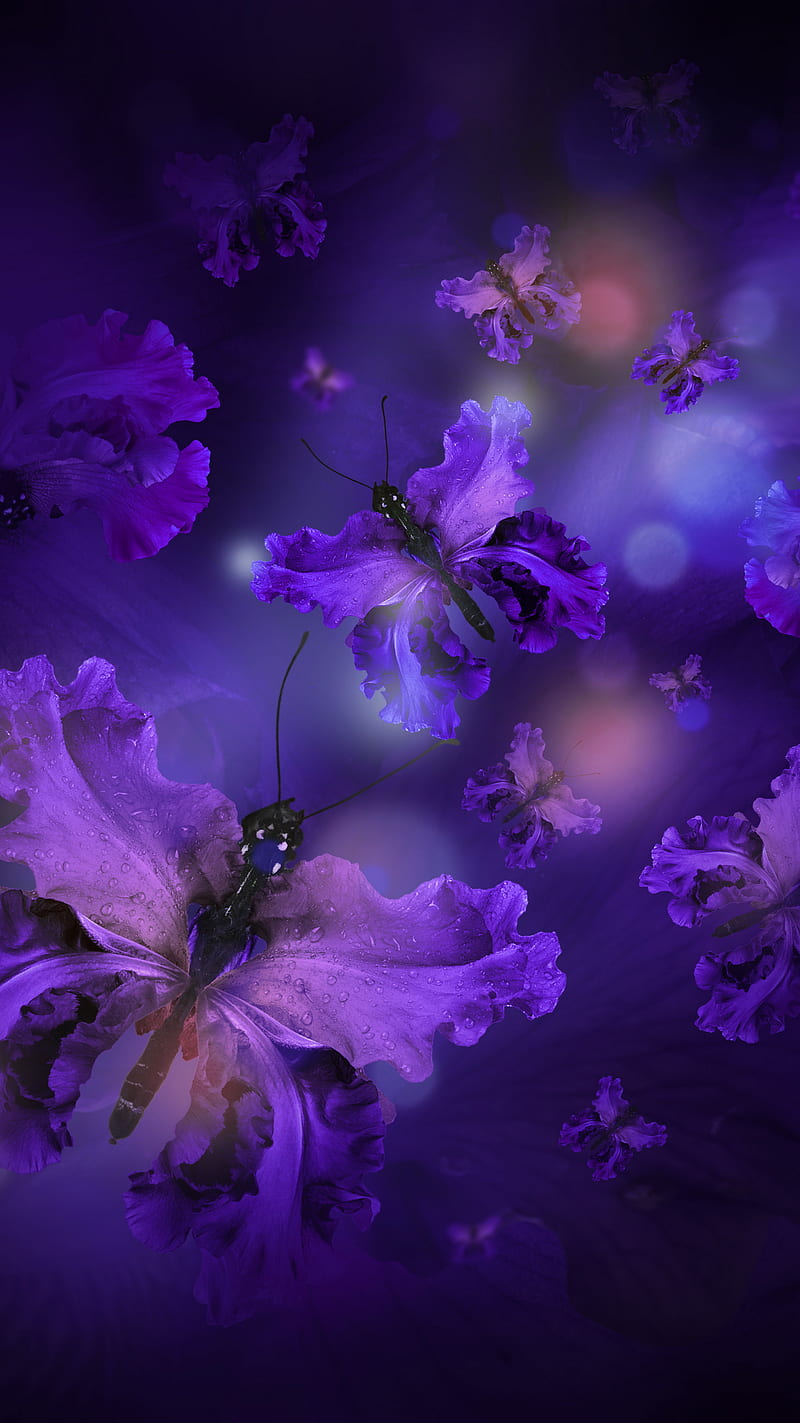 Purple Butterflies, angel, angels, galaxy, loving, memory, spiritual, stars, wings, HD phone wallpaper
