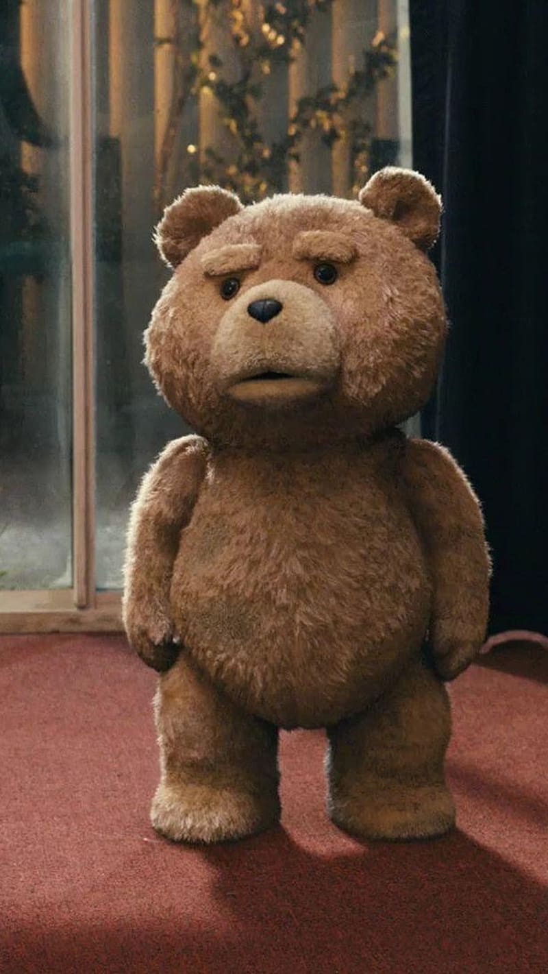 Big Teddy Bear Standing, big teddy bear, standing, ted movie, toy, HD phone wallpaper