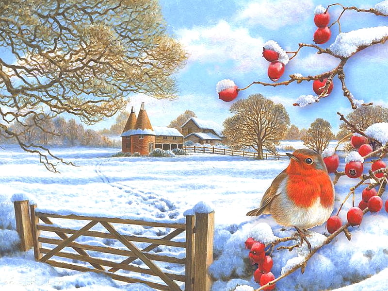 **Colorful winter christmas day**, colorful, cottage, christmas spirit, bonito, winter, county, bird, peaceful, color, red cardinal, landscape, HD wallpaper
