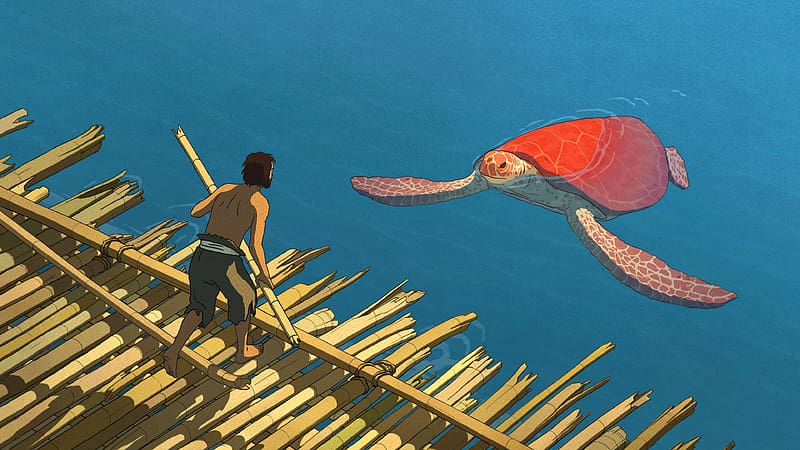 Anime, Turtle, The Red Turtle, HD wallpaper | Peakpx