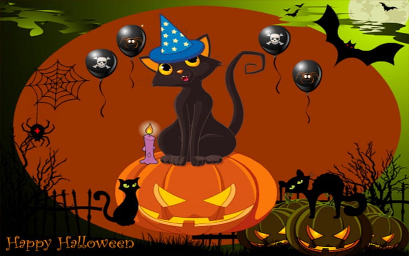 Black Cats, spooky night, witches brew, pumpkins and cats, witches night, HD wallpaper