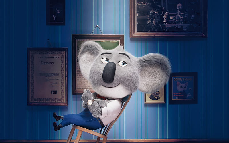 Sing (2016), poster, movie, bear, koala, animal, animation, gris, sing, buster moon, white, blue, HD wallpaper