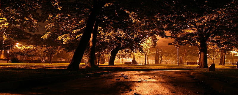 Park in the evening, warm, brown, black, park, twilight, dual monitor, roy, urban, sunsets, shadows, nature, HD wallpaper