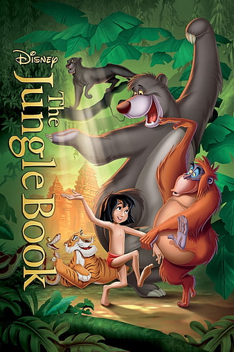 Buy Envouge Wallpaper Kids Jungle Book 3D Design Washable 5ft X 4ft for  BedroomLiving Room Online at Low Prices in India  Amazonin