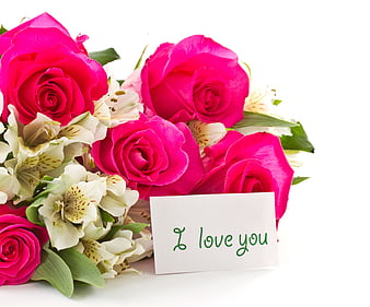 I Love You, pink, rose, HD wallpaper | Peakpx