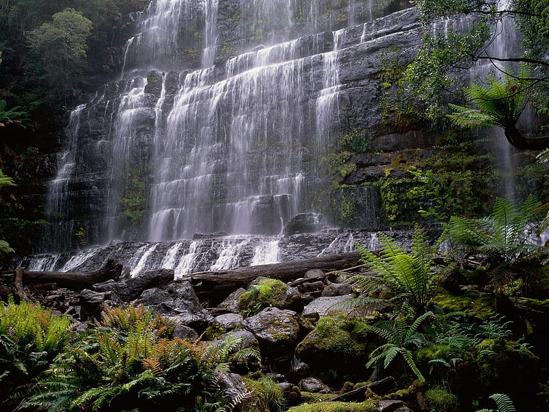 ~Russell Falls~Mount Field National Park~Tasmania, Australia~, national park, waterfall, australia, tasmania, nature, bonito, falls, HD wallpaper
