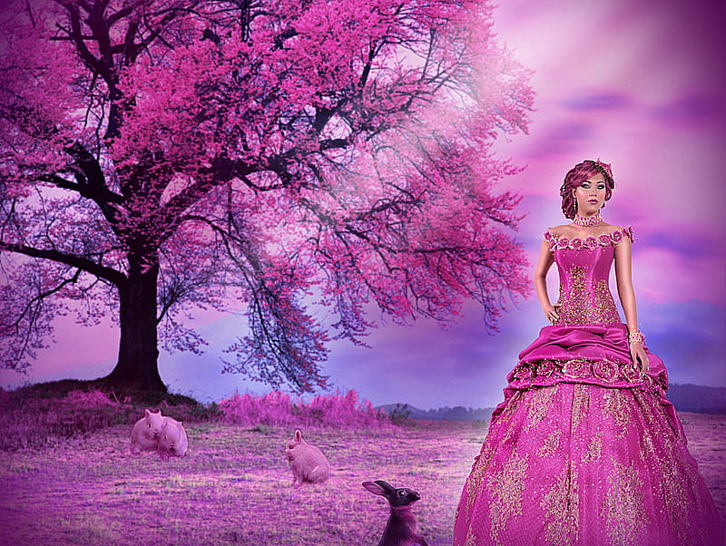 Pink Princess, fantasy, princess, abstract, pink, HD wallpaper | Peakpx