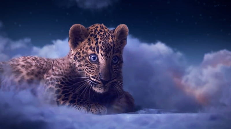 Really a Cuty, leopard, cloud, snow, painting, cub, cat, artwork, HD wallpaper
