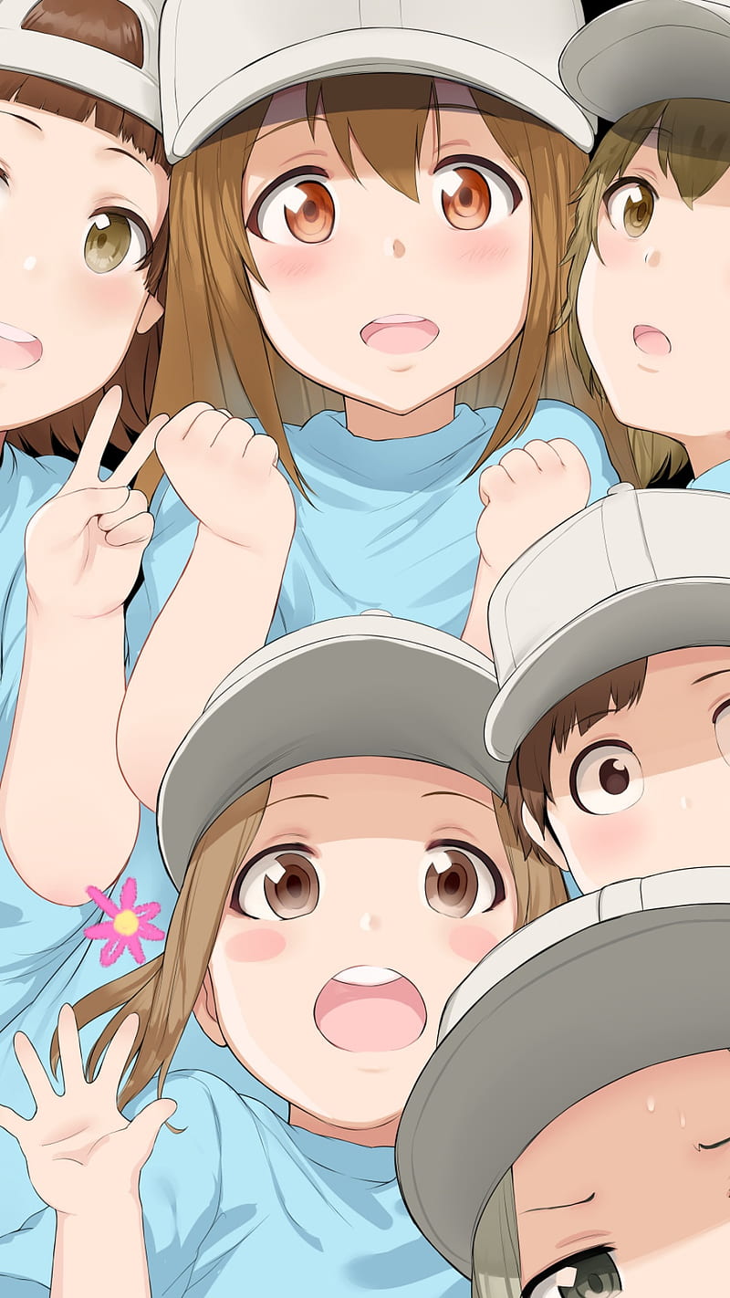 Pin on Hataraku Saibou