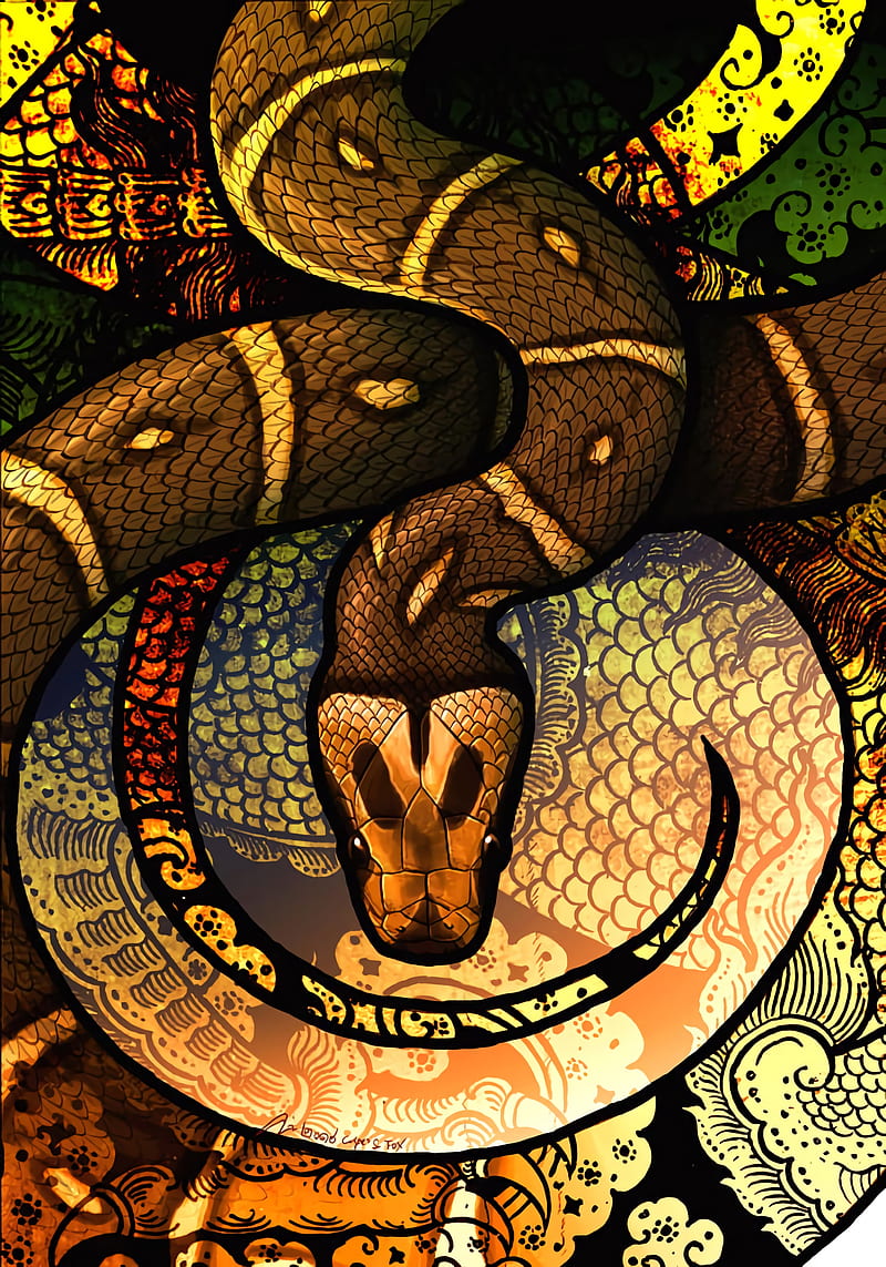 snake, scales, patterns, HD phone wallpaper