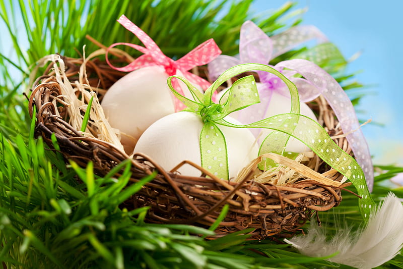 Easter Nest, grass, easter eggs, holiday, easter, spring, ribbons, bows, nest, feather, eggs, HD wallpaper