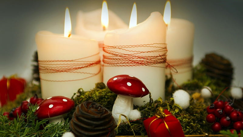 Advent wreath, red, baubles, holiday, mood, candles, gold, flame, pine needles, mushrooms, HD wallpaper