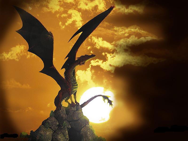 early riser, awesome, dragon, HD wallpaper
