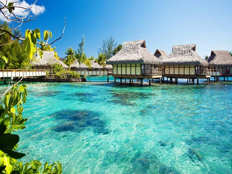 Water bungalows on a tropical island, Sea, Travel, Vacation, Island, HD ...