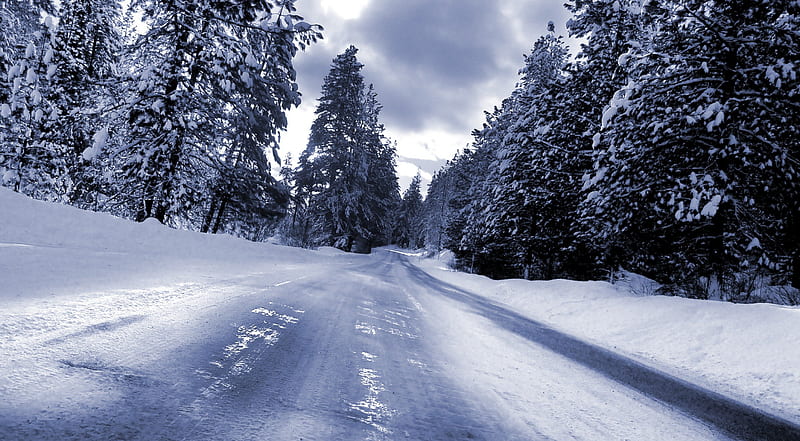 Driving Through The Forest, driving, forest, shadow, trees, sky, clouds, winter, cold, snow, evergreens, nature, season, road, white, HD wallpaper