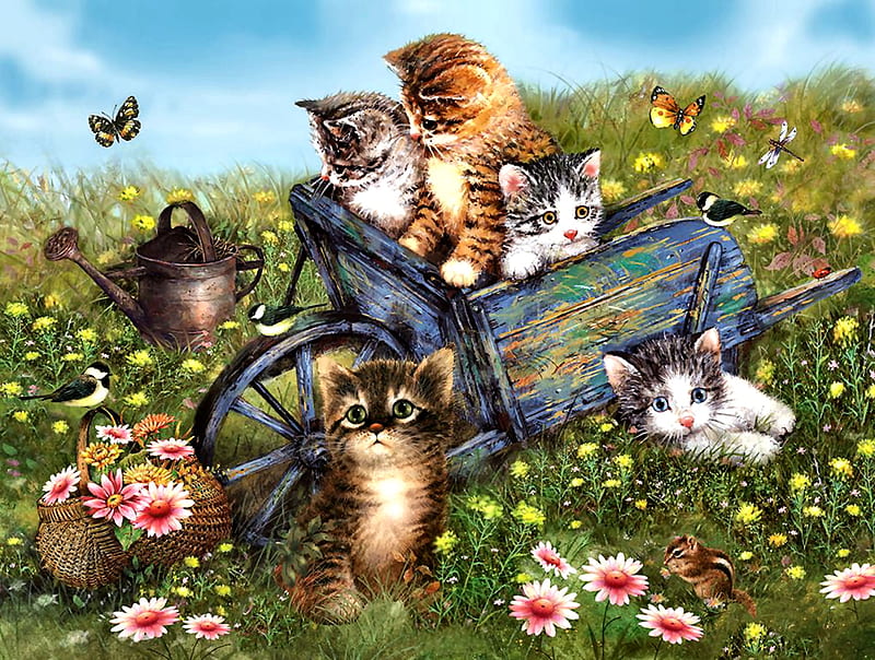 Kittens in Wheelbarrow F1Cmp, art, kittens, bonito, butterflies, cat, artwork, animal, pet, chickadees, feline, painting, wide screen, flowers, wheelbarrow, field, HD wallpaper