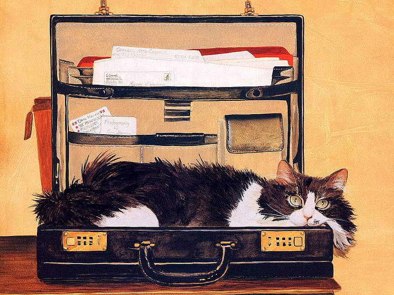 My favorete hiding place, painting, cat, kitten, suitcase, animal, HD wallpaper
