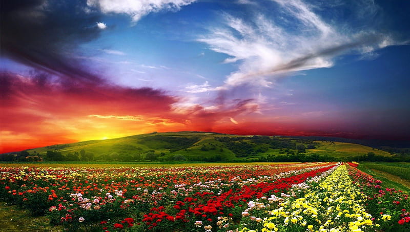 Paradise Valley, Sky, Paradise, Valleys, Flowers, Hills, Nature, HD wallpaper