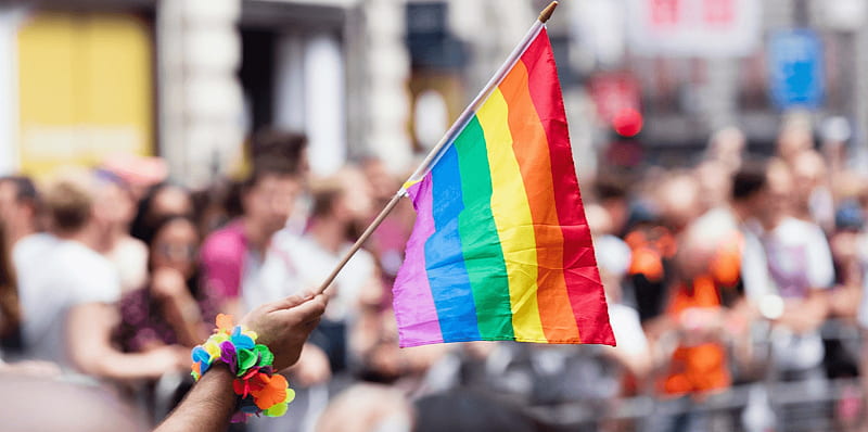 Pride flags, gay, trans, lgbtq, bi, pride, lesbian, lgbt, HD wallpaper