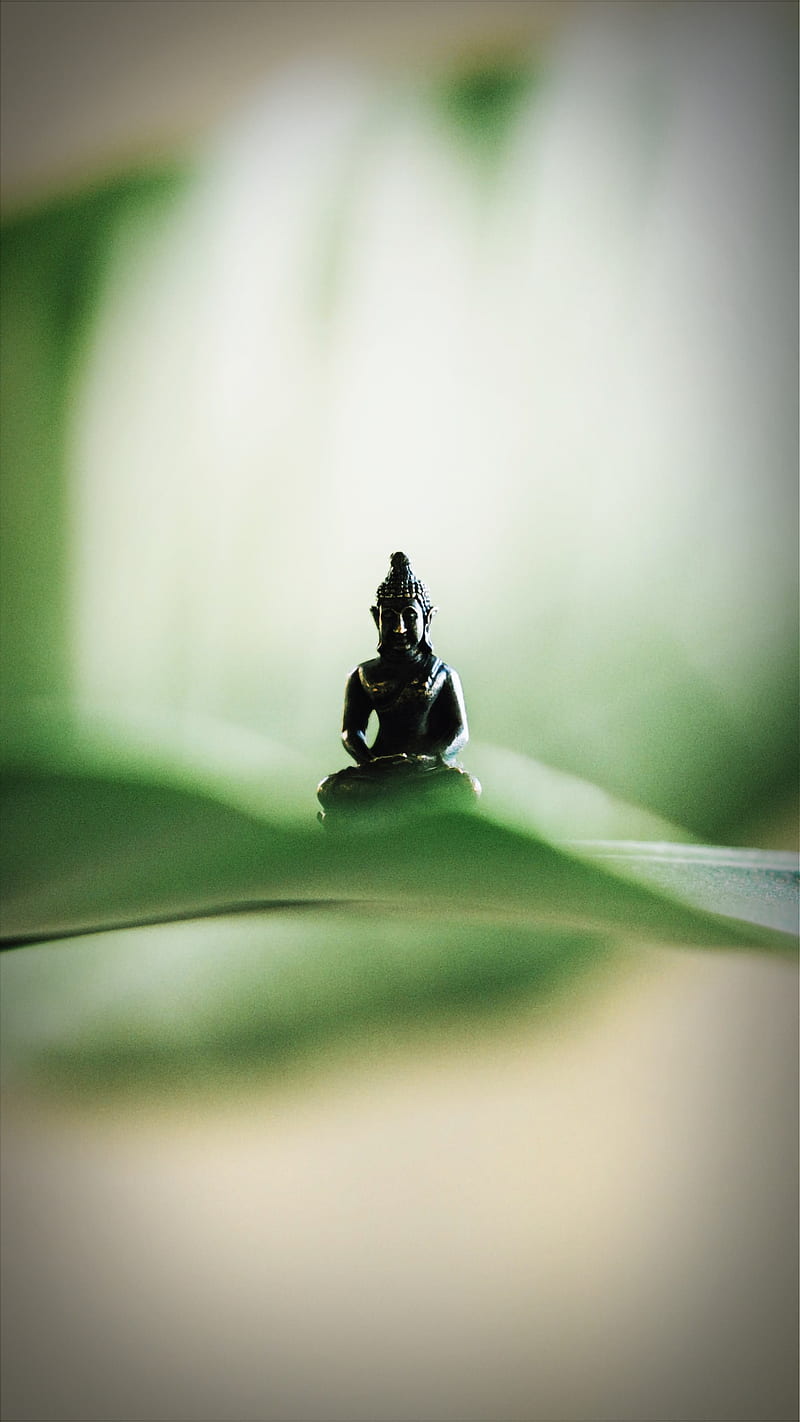 Zen 86, art, buddha, love, meditation, mindfulness, mysticmessenger, nature, peace, yoga, HD phone wallpaper